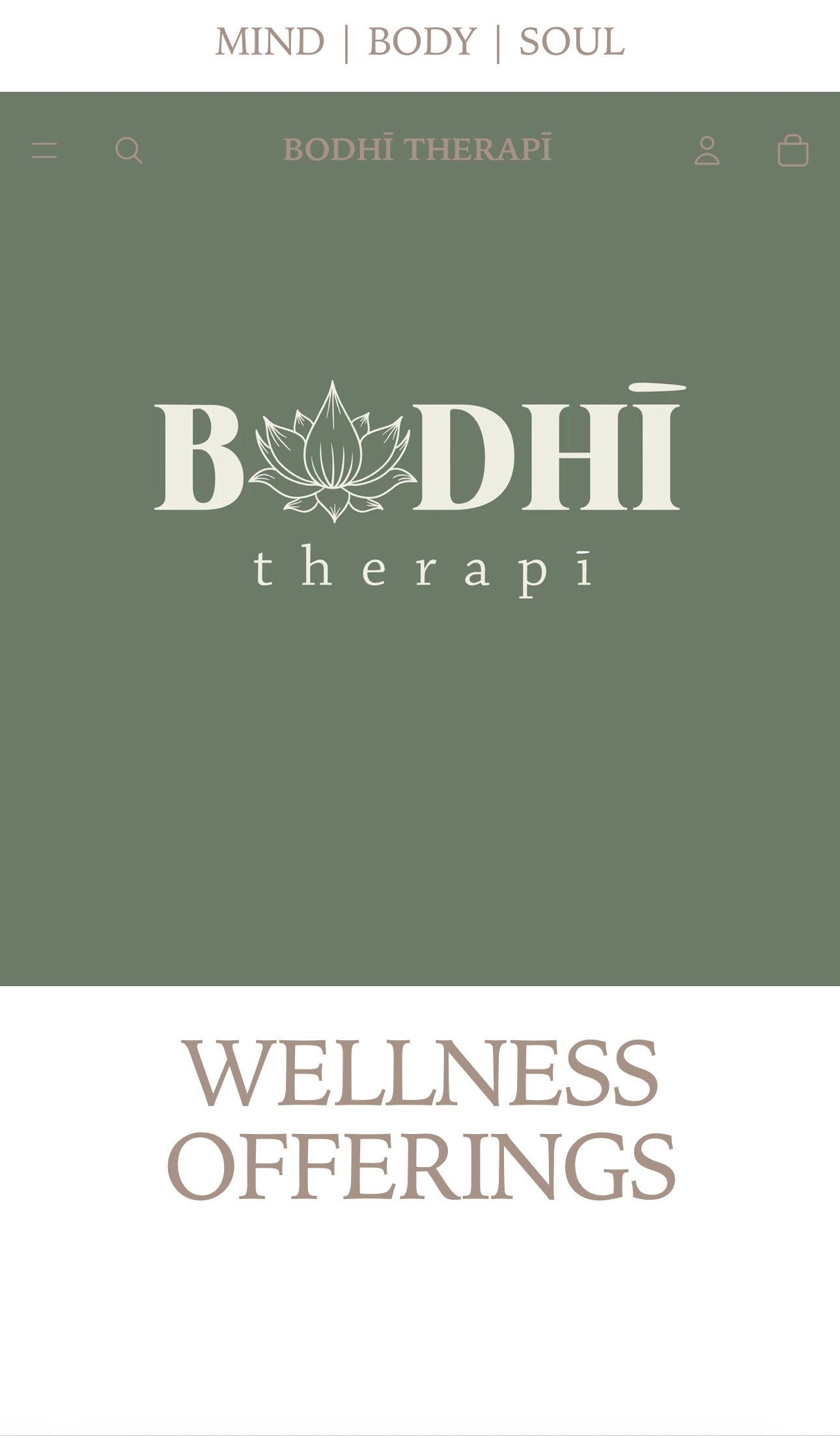 Shopify Website Builder