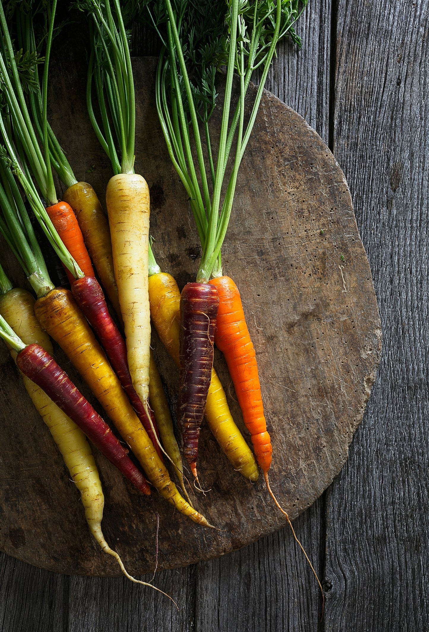 Herbal Infused Carrot Seed Face + Body Serum