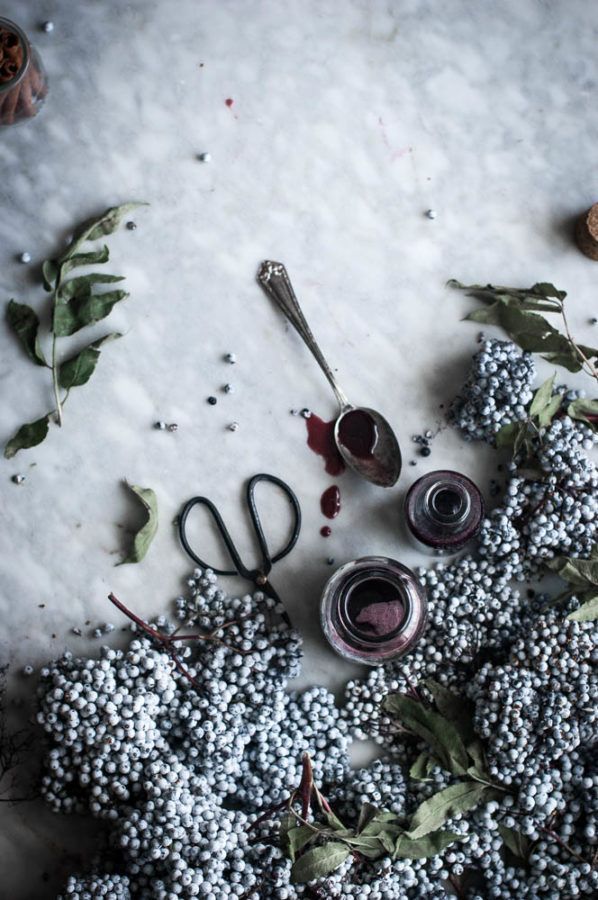 How To Make Elderberry Syrup Workshop